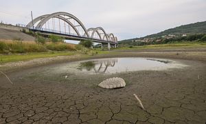 Najgorsze już za nami? Ekspertka o suszy w Polsce