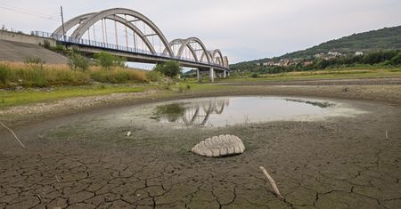 Najgorsze już za nami? Ekspertka o suszy w Polsce