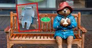 Skandal w Newbury. Ukradli połowę Misia Paddingtona