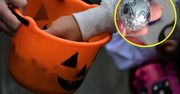 Mama 10-latka z Opola przerażona. To znalazła w cukierku z Halloween