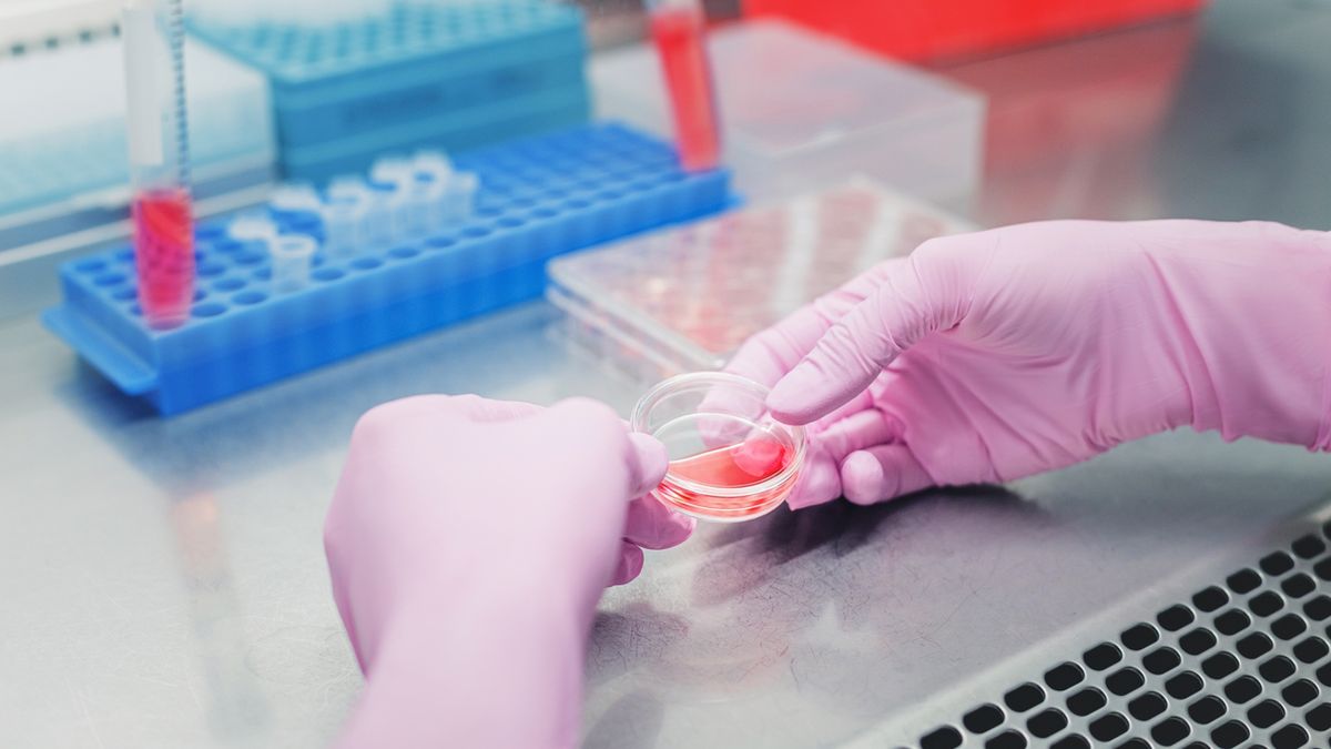 Test ELISA jest używany do diagnostyki chorób, takich jak borelioza