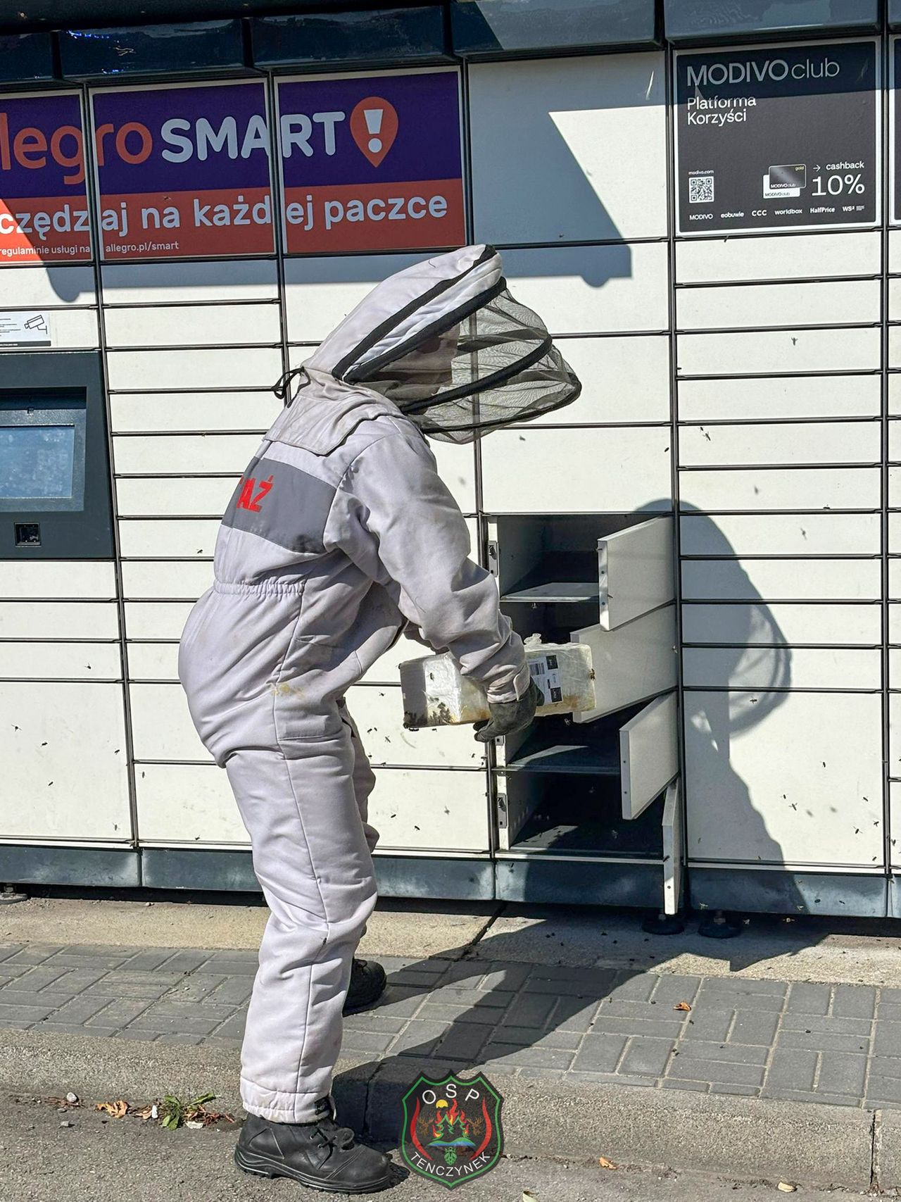 Tenczynek: Rój pszczół opanował paczkomat. Strażacy w akcji z gazą i płynem do dezynfekcji