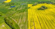 Polska powinna rozpisać plan na rolnictwo na najbliższe 30-40 lat