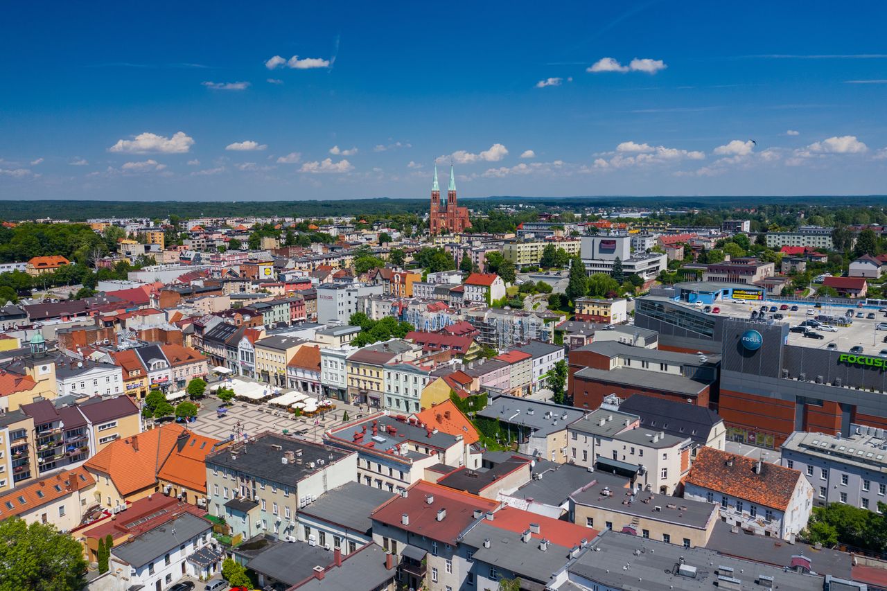Rybnik: Spacer po hałdzie? Na jankowickim zwałowisku powstała eksperymentalna łąka kwietna