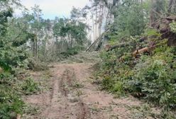 Zakaz wstępu do lasu. Powodem "śmiertelne niebezpieczeństwo"