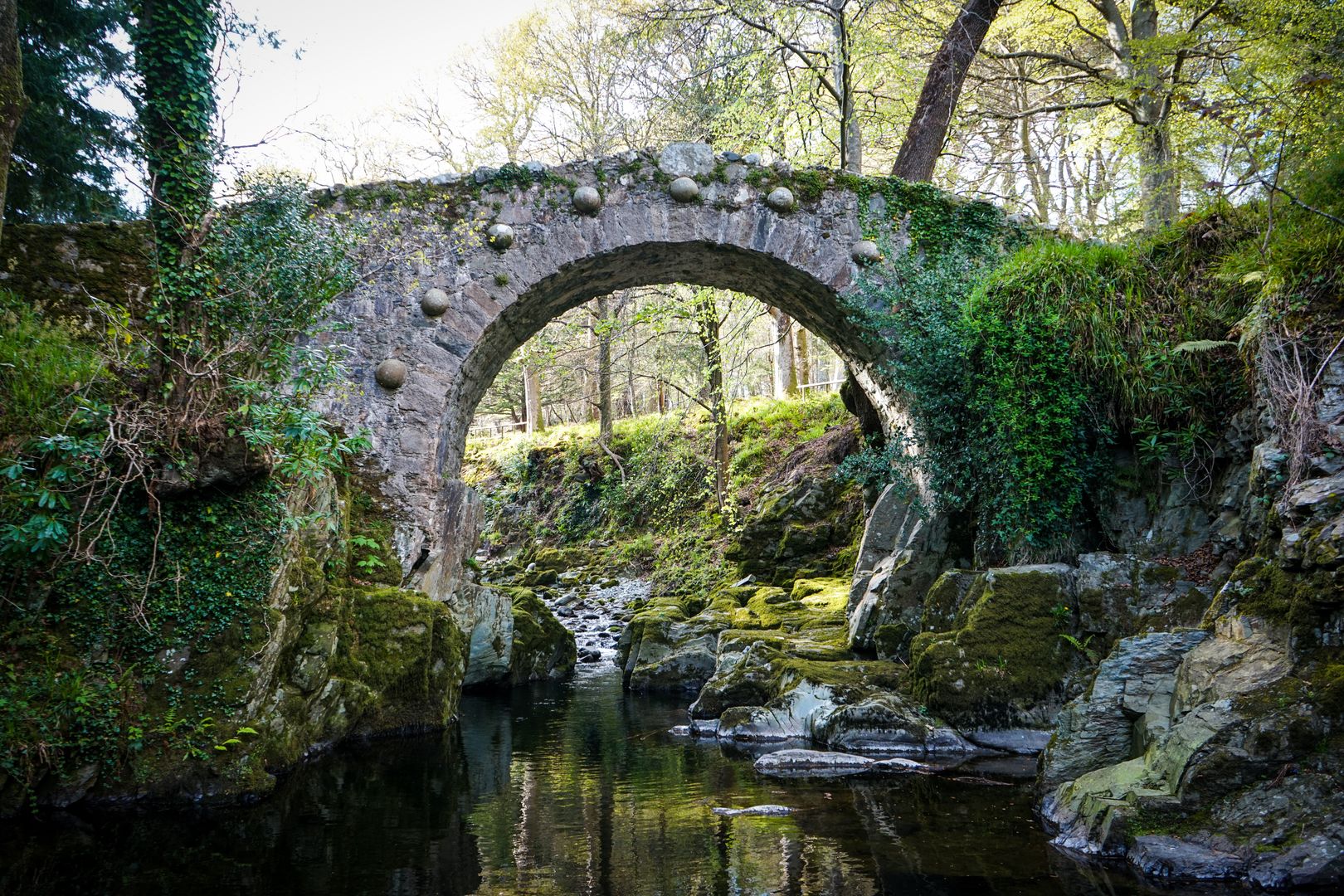 Tollymore Forest Park 