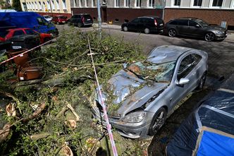 Odszkodowania po burzach i wichurach. Ubezpieczony musi pamiętać o kilku rzeczach