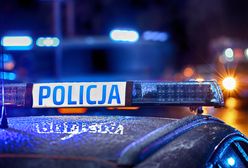 Rozpędzony jeleń wpadł do jadącego auta. Dwie osoby w szpitalu