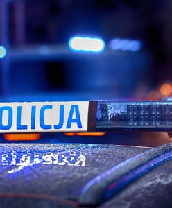 Rozpędzony jeleń wpadł do jadącego auta. Dwie osoby w szpitalu