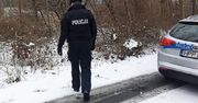 Szedł drogą krajową nr 22. Policjanci usłyszeli przygnębiające wyznanie