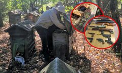 80-letni pszczelarz z Mazowsza w rękach policji. To ukrył w pasiece