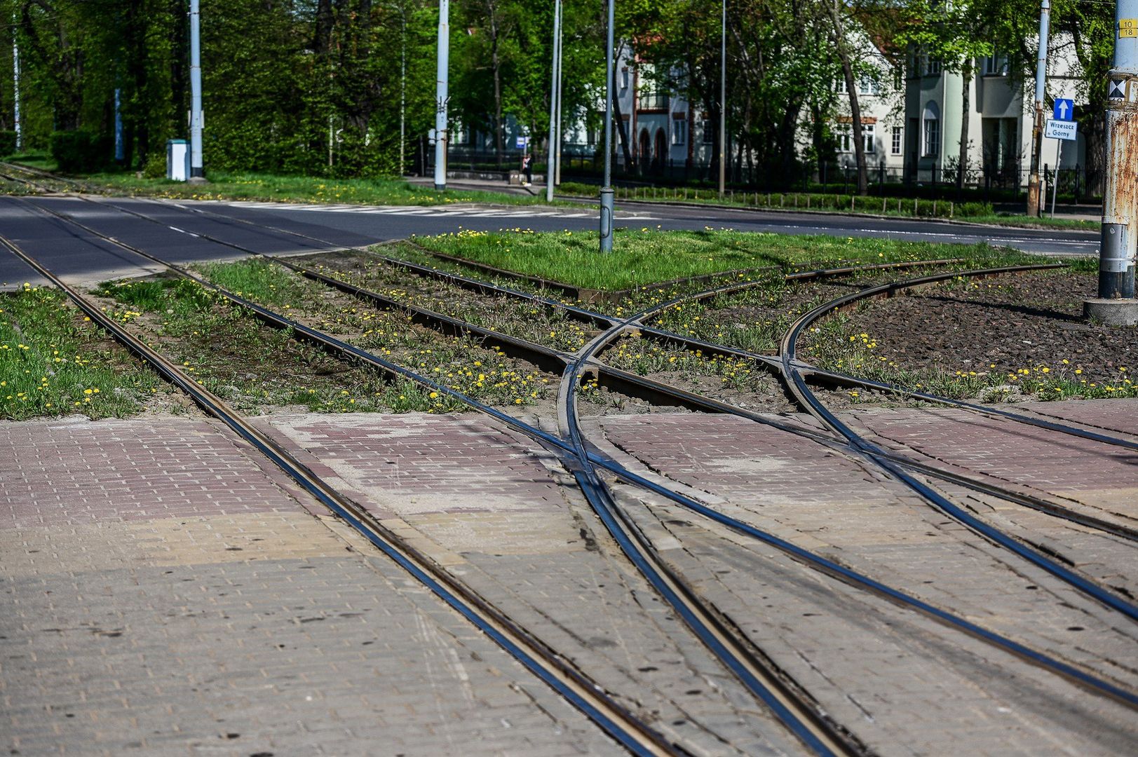 Trzy oferty na przebudowę torowiska na al. Hallera w Gdańsku. Tylko jedna mieści się w budżecie
