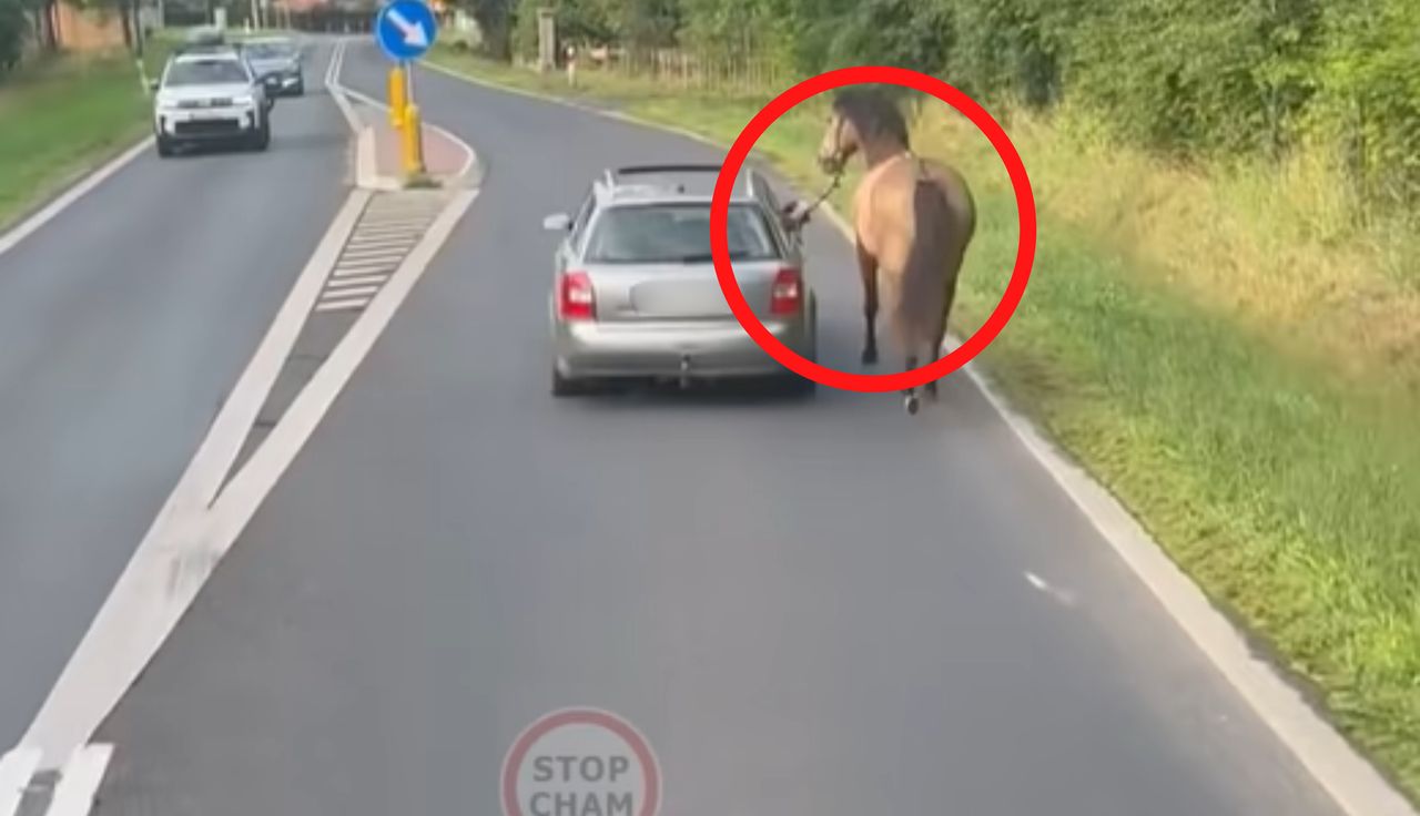 Nagranie podbija sieć. Tuż przy aucie. "To jest Polska"