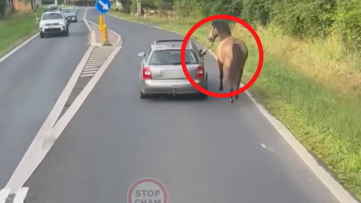 Nagranie z Leszna Dolnego.