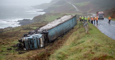 Kraby na polu zamiast w restauracjach. Nocna akcja ratunkowa w Donegalu