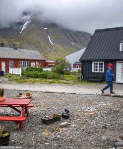 Niepokojące odkrycie na Islandii. Pojawiły się komary