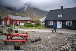 Niepokojące odkrycie na Islandii. Pojawiły się komary