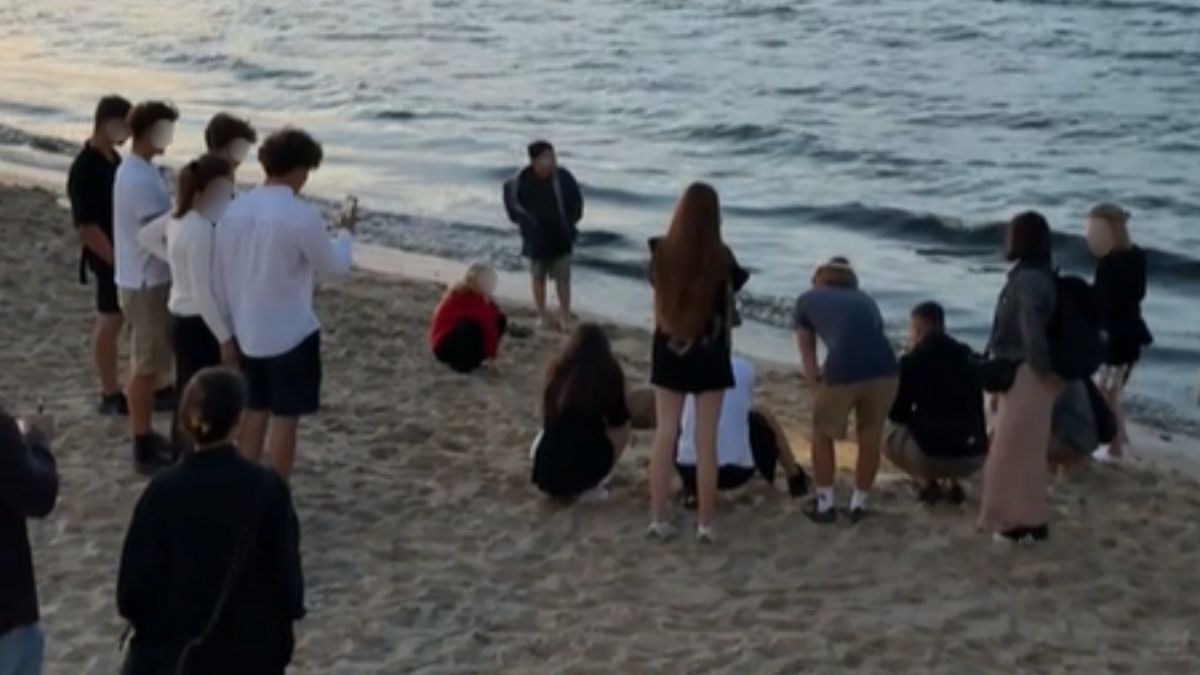 Foka na plaży w Sopocie. Turyści podeszli bardzo blisko.