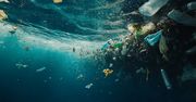 Gigantyczna ilość śmieci. Plastiki gromadzą się na głębokości 5 km