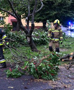 Najgorzej w trzech województwach. Tam największe szkody po nawałnicach
