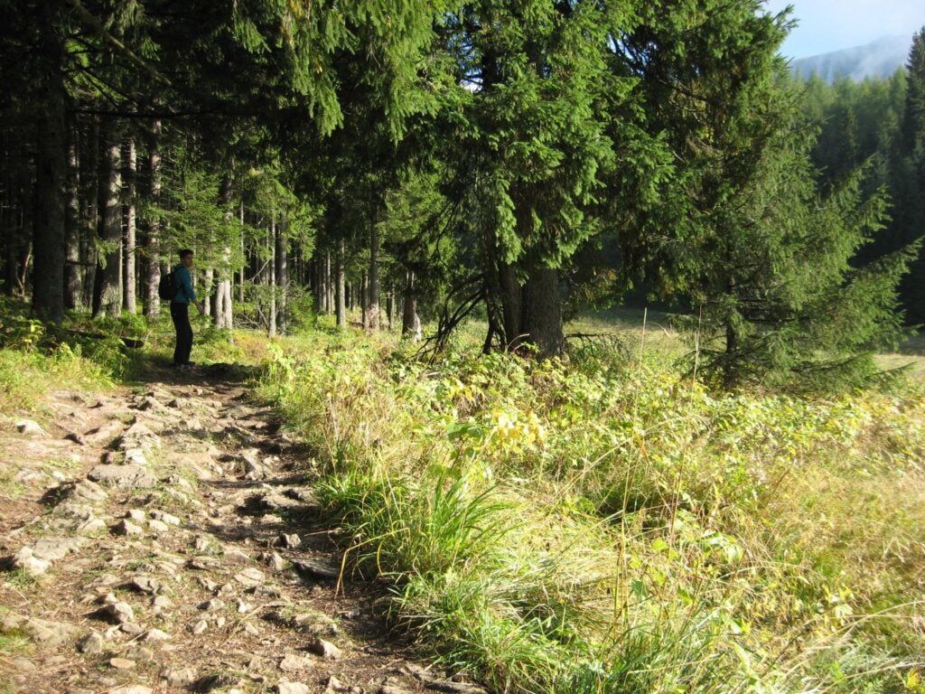 Dolina Małej Łąki