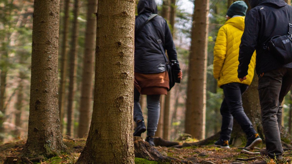 Zdjęcie ilustracyjne