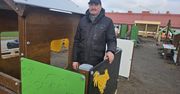 Tuchomie: Spór o drewno rubinowe. Wmanewrowali wójta?