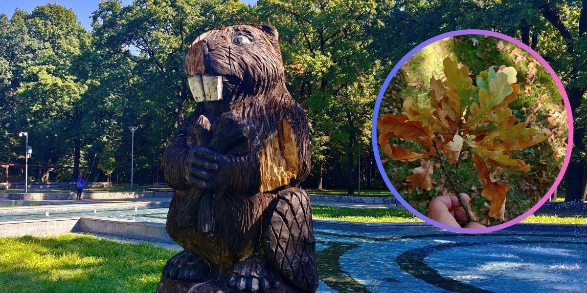 Dąbrowa Górnicza: Jesień powoli daje o sobie znać. Urokliwy Park Zielona we wrześniowym wydaniu
