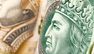 Większość przedsiębiorców nie wie, że przysługuje im rekompensata. Korzystają dłużnicy