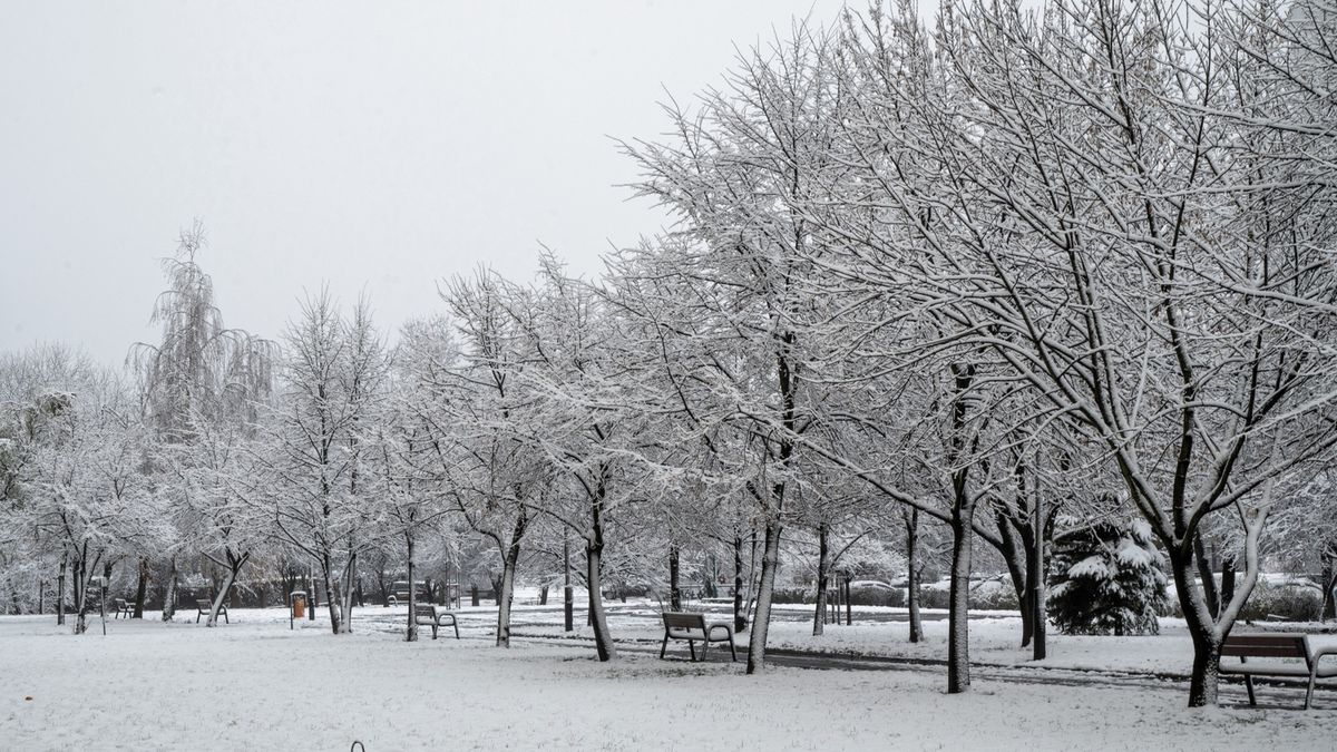W Łodzi w nocy spadło kilka centymetrów śniegu