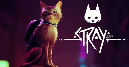 Stray z kategorią 12+. Premiera gry coraz bliżej