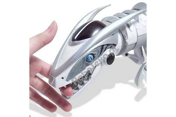 Roboraptor - mechaniczne zwierzątko domowe? 2