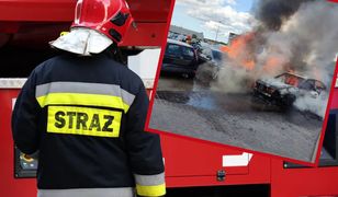 Auta płonęły jak pochodnie. Duży pożar przy lotnisku w Gdańsku