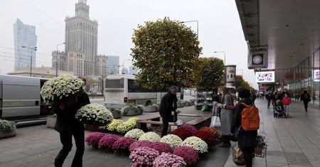 Warszawa. "Kup pan chryzantemę". Morze kwiatów w centrum stolicy