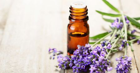 Woda lawendowa - działanie, zastosowanie w kosmetyce i aromaterapii