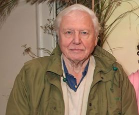 David Attenborough ma 96 lat. Twierdzi, że długowieczność to zasługa wykluczenia tego produktu