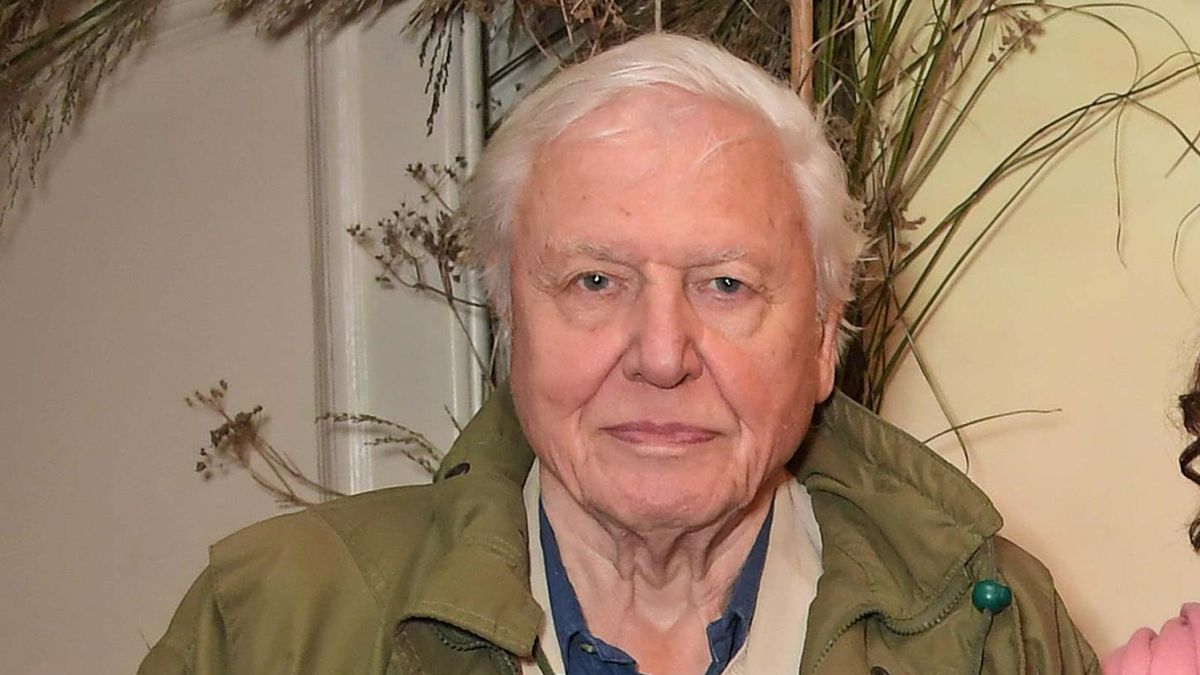 David Attenborough ma już 96 lat. Zdradza sekret długowieczności