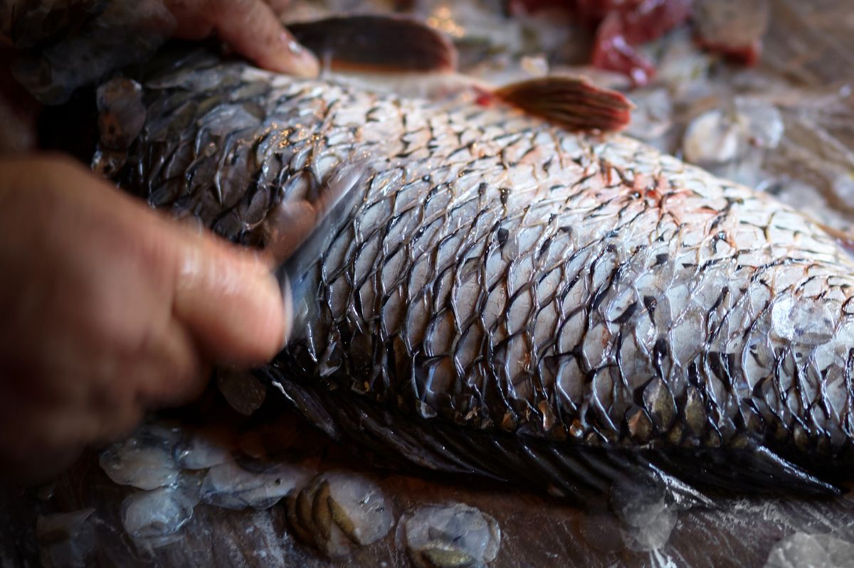 Unlock the secret to a fuss-free fish supper. Quick and easy tricks to scale and debone your carp