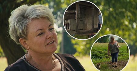 Widzowie oburzeni podejściem Agaty z "Rolnik szuka żony" do psów. Zwrócili uwagę na jeden szczegół