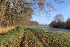 Pogoda. Wrocław. 18 kwietnia - będzie cieplej. Jest jedno "ale"