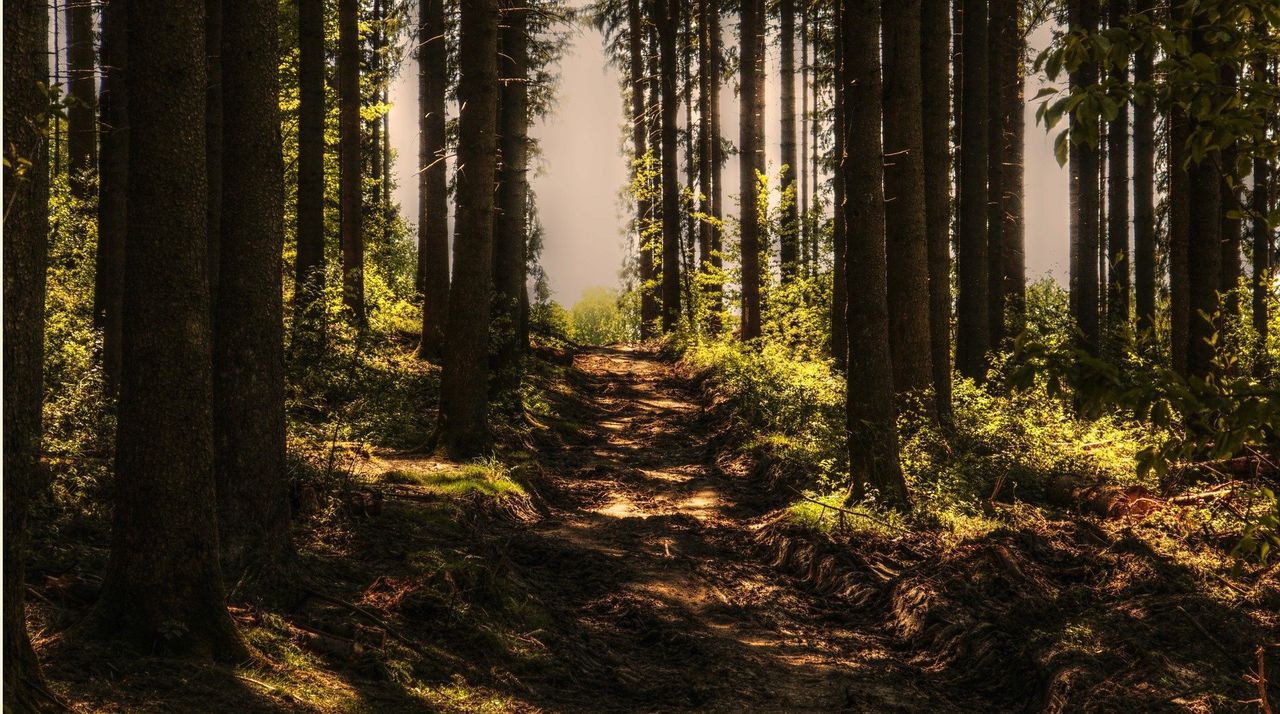 Beskidy. Pogoda w górach zachęca do wędrówek, nie tylko w weekend