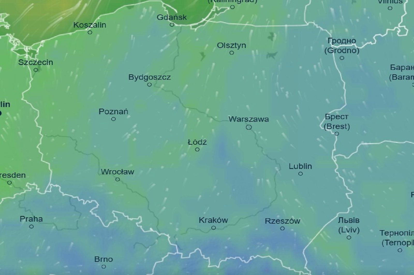 Prognoza pogody na 11 listopada. Mgły i opady deszczu