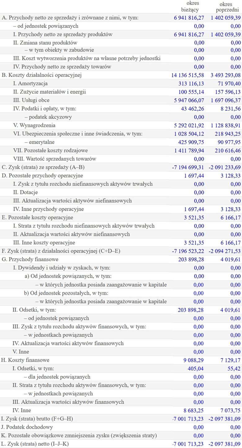 Wyniki finansowe XYZ Media
