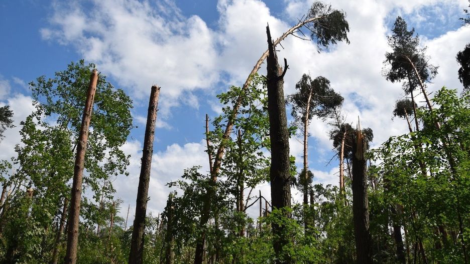 Kataklizm na Śląsku