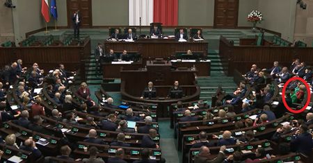 Spójrzcie, jak się ubrały posłanki. Polacy pękają ze śmiechu