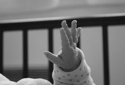 Nie żyje niemowlę zagryzione przez psa. "Kości były złamane"