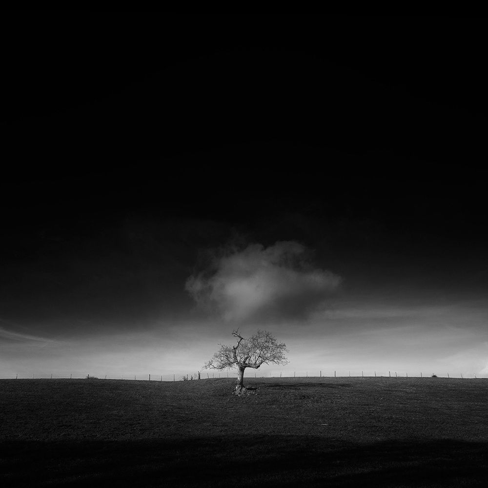 “Każdy potrzebuje miejsca wyciszenia. Moje znajduje się tutaj u stóp dębu. Przez cztery lata odwiedzałem go przy różnych okazjach, fotografując w różnych warunkach. Nigdy się tym nie znudziłem.”