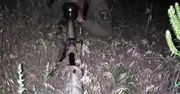 Rosyjski snajper. Używa zdobycznego karabinu UR-10