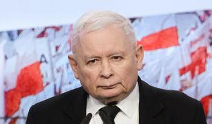Polacy najbardziej nie ufają Kaczyńskiemu. Jest nowy ranking