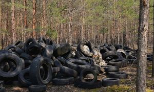 5 ton opon w lesie w jeden miesiąc. Jest coraz gorzej
